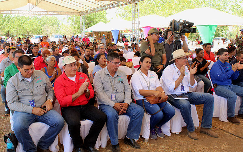 porcinovultura-nicaragua-mejoramiento-genetico